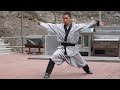 Seonmudo (Zen martial arts) (3)