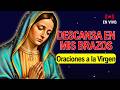 🔴 EN VIVO | DUERME BAJO SU MANTO: Oraciones de Paz, Rosario Guadalupano y Rosa Mística 🙏✨