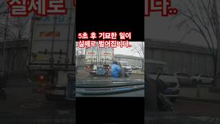 5초 후 기묘한 일이 실제로 벌어집니다..