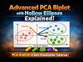 Advanced PCA Biplot in R | Hollow Solid-Line Ellipses &amp; Phytochemical Analysis