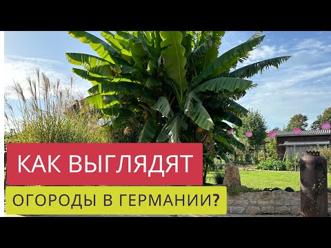 Побывали в Германии и увидели огороды! Лучше или хуже,чем в Швейцарии?