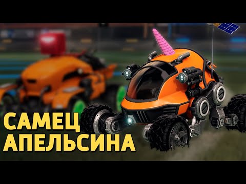 Видео: Самец апельсина /Rocket League