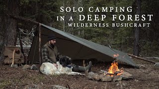 Solo Camping in the Wilderness  Deep Forest Bushcraft, Tarp Shelter, Camp Cooking, etc