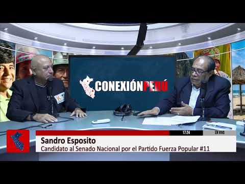 PRINCIPALES PROPUESTAS