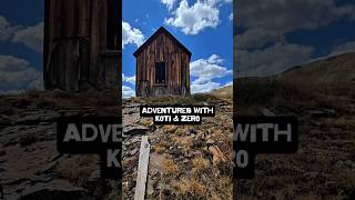 Koti the rescue dog &amp; I used this abandoned mining building as shelter