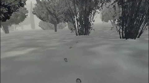 Footprints (for OFP)