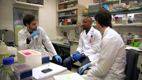 MSCA: research and independence