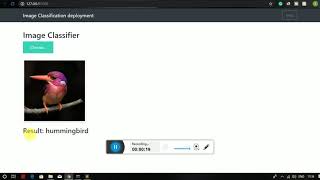 image classification model deployment