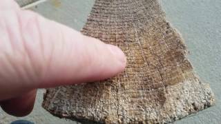 How to tell seasoned firewood