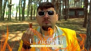 Savvo Zauddo - U Fucularu ( Video Ufficiale 2024 )