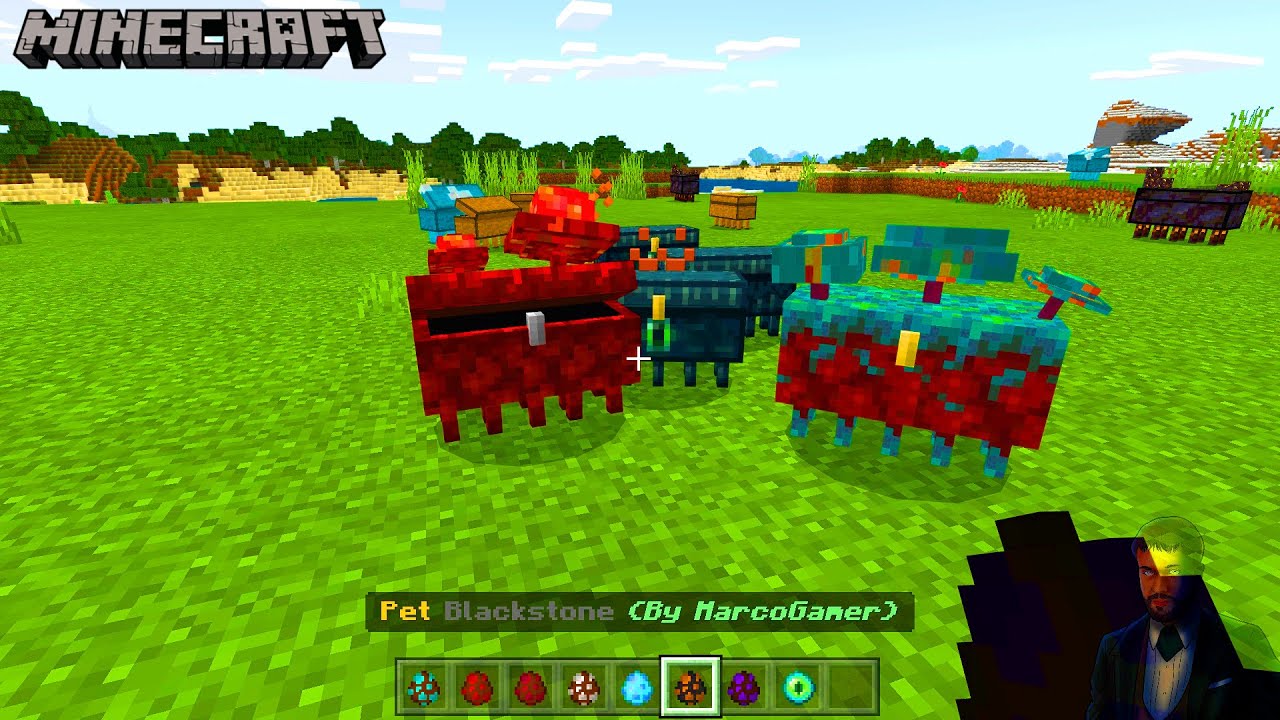 Chest Pet MOD In Minecraft YouTube