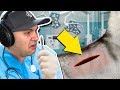 I DID SURGERY ON A DOG AND IT GOT GROSS... | Animal Hospital