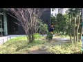 iPhone SEで撮影した4K動画