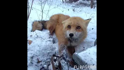 Recap of 2013-2014 trapping and hunting season