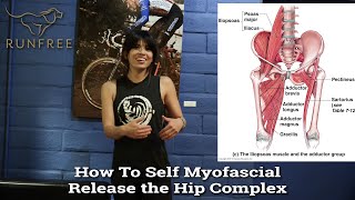 How to Self Myofascial Release The Hip Complex
