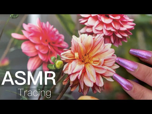 ASMR - Tracing through magazine, on cardboard & other surfaces - tapping/scratching - camera taps!