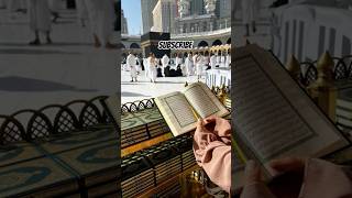 Tere karam ki kya baat maula #madina #allah #makka #allah #Mohammad #noha #islamik #quran #naat #ali