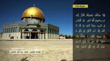 عارف العشي سورة طه