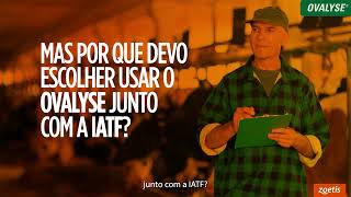 Conheça uma ferramenta importante para melhorar a eficiência dos protocolos de IATF de gado de leite Conheça uma ferramenta importante para melhorar a eficiência dos protocolos de IATF de gado de leite