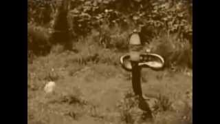 Version 2 of the video