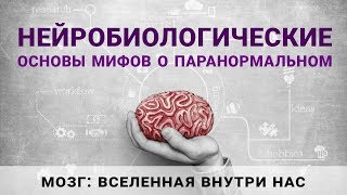 Александр Панчин «Нейробиологические основы мифов о паранормальном» с картинками