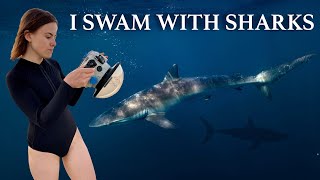 Swimming with sharks and mobula rays with my camera...