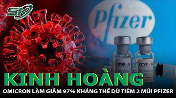Omicron Làm Giảm 97% Kháng Thể Ở Người Tiêm 2 Mũi Vaccine Pfizer |SKĐS