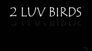 Video thumbnail of "Robin Thicke - 2 Luv Birds"