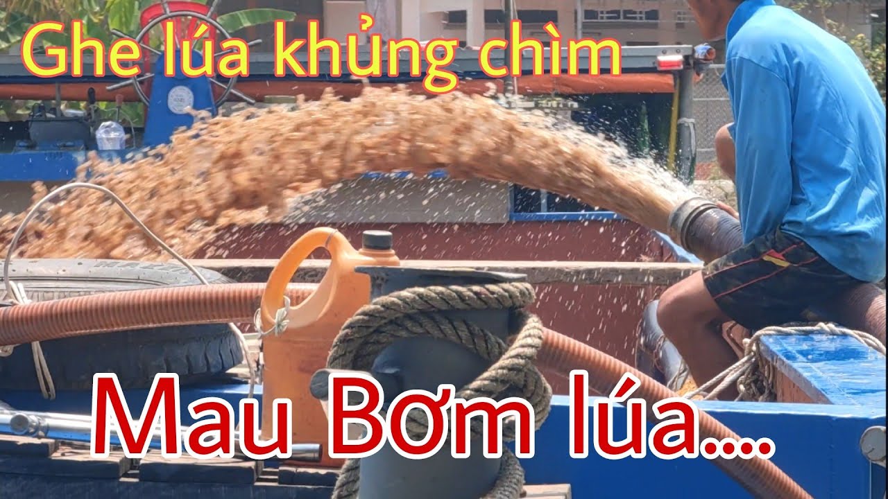 GHE LÚA 20 TẤN CHÌM VÀO TRONG LÒNG SÔNG CHUYẾN NÀY THÌ VỐN LUYẾN COI ...