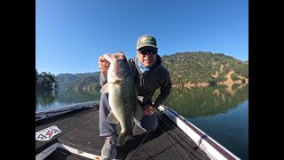 Lake Sonoma Bass Fishing Report for 5-31-2024