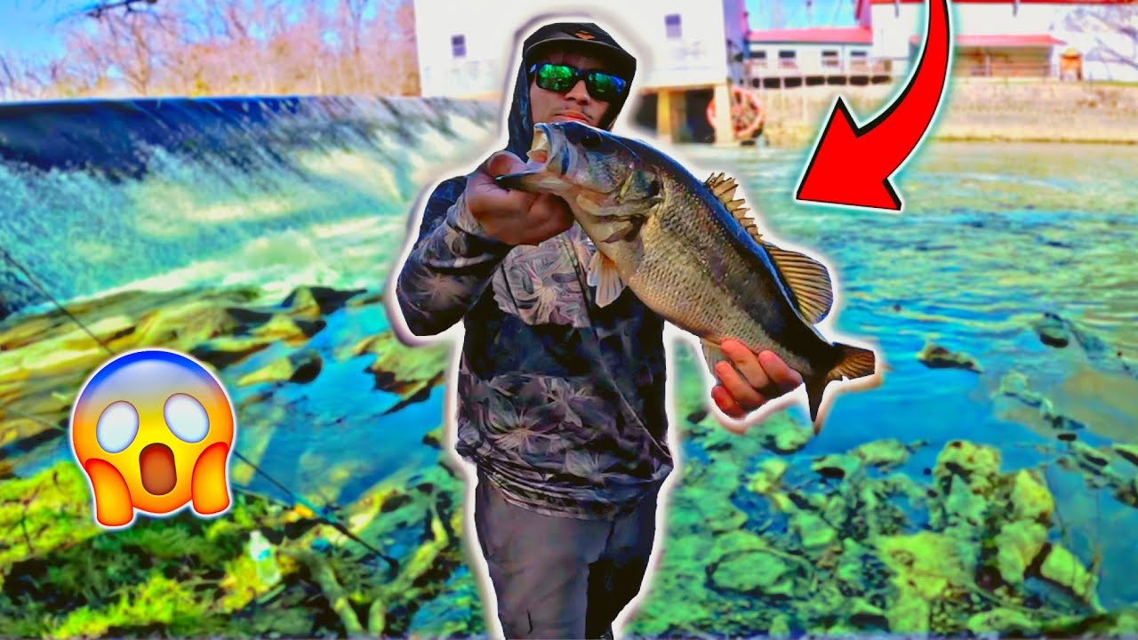 NORTH CAROLINA SPILLWAY BASS FISHING 🔥🎣WITH @R1ppedfishing *STRIKEKING SWIMBAIT*