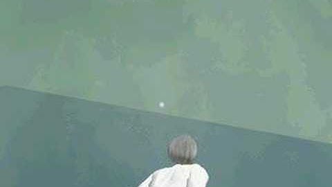 Flying in Second Life