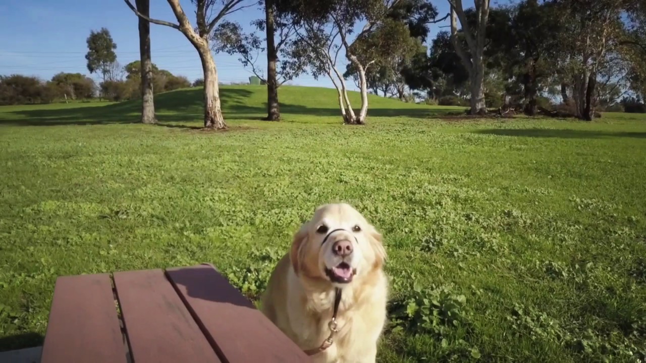 A Sunny Sunday arvo in Narre North