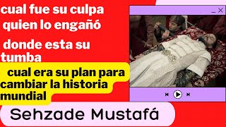 Datos sobre Mustafa de los que nunca has oído hablar #elsultán