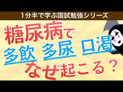 1分半で学ぶ国試勉強シリーズ「糖尿病で多飲・多尿・口渇が見られる理由」