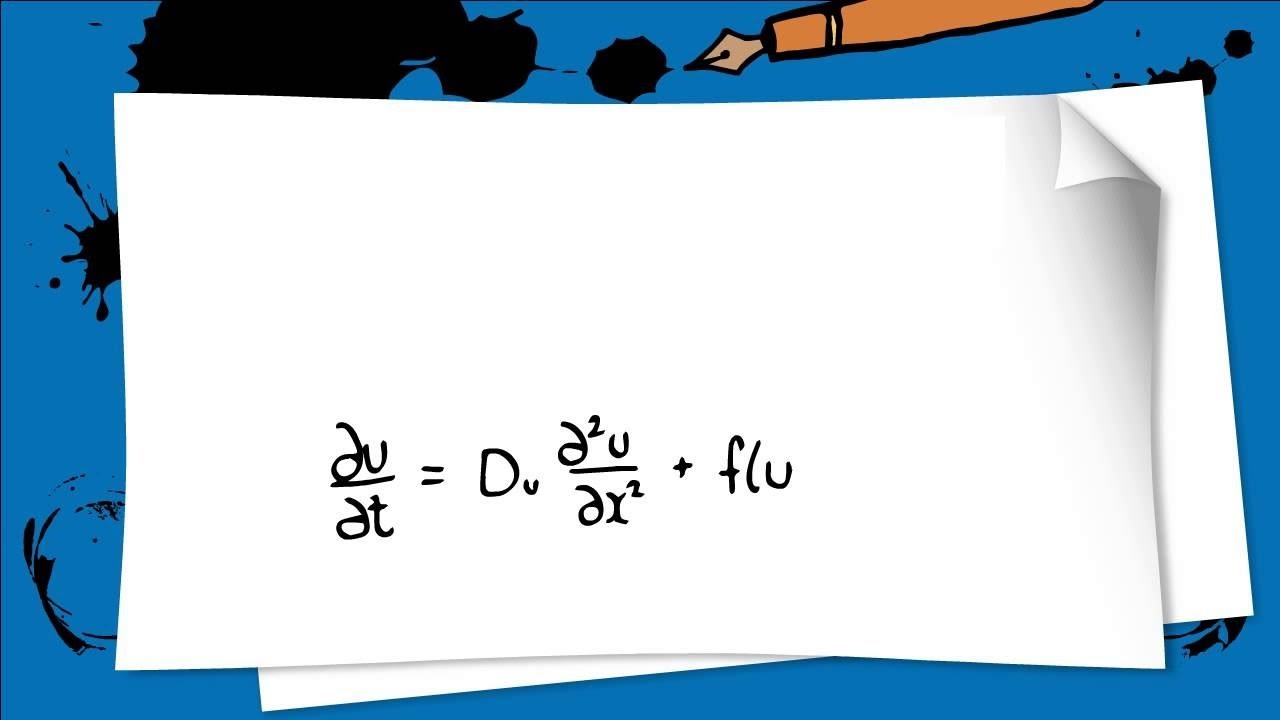 Reaction Diffusion Model _Math-bio - YouTube