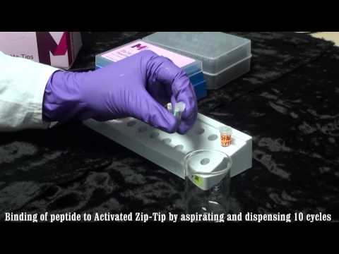 VPL Module 2 video Zip-Tip