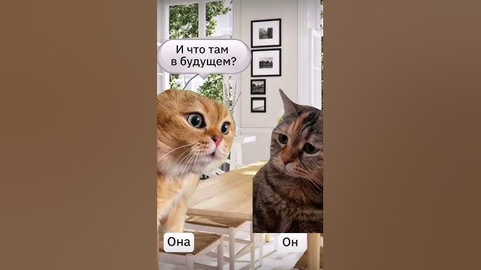Как, по мнению свекрови, муж встретил свою жену. Как, по мнению свекрови, муж встретил свою жену.