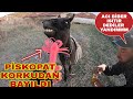 BUZ GİBİ HAVADA BOLL ACII~PİSKOPAT KORKUDAN BAYILDI