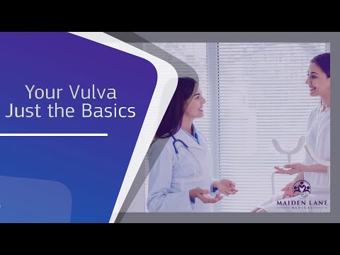 Your Vulva - Just The Basics