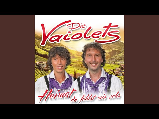 Vaiolets - Als wir noch Kinder waren