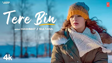 Tere Bin (Official Video) | Hashmat Sultana | Latest Punjabi Songs 2023 | T-Series