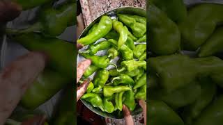 खटट-खटट पन वल हर मरच डलन क तरक Pani Wali Hari Mirch Recipe Recipe