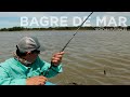 Bagres de Mar Pescados en el río?! - Lineas, carnadas y  Técnicas