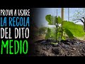 QUANTA ACQUA DARE AGLI ORTAGGI?