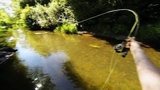 Pêche de chevesnes à la mouche à vue en petite rivière d'Ille-et-Vilaine