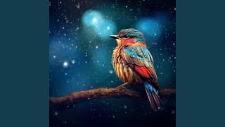 Gentle Stream Song for Pet Peace
