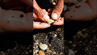 Hidden Gold Trapped Between Stones 😳 Satisfying Real Discovery #golddiscovery