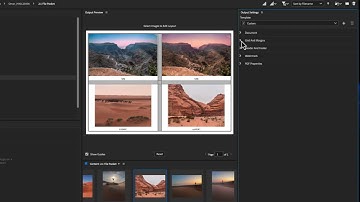 Adobe Bridge output to PDF with watermark