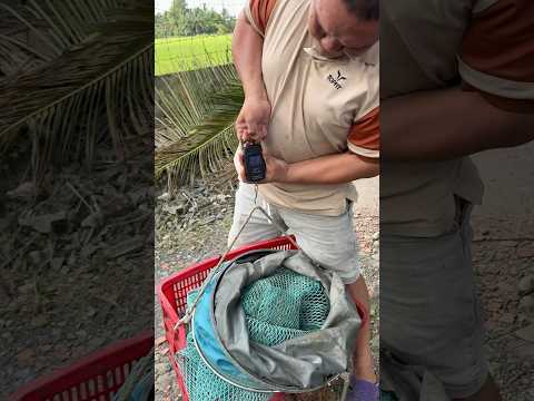 Combo này kết hợp câu phi nè anh em #vyhanfishing #moicauphi